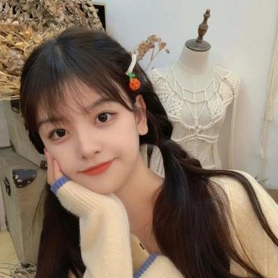 霹雳皇龙纪