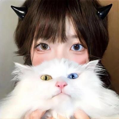 美国叛徒：轴心莎莉的审判